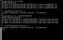 Screenshot of arping